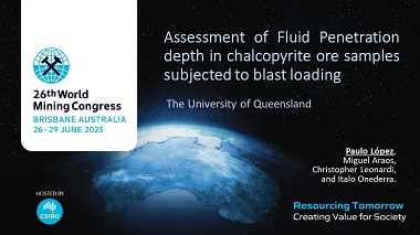 Assessment Of Fluid Penetration Depth In Chalcopyrite Ore Samples Subjected To Energetic Loading.